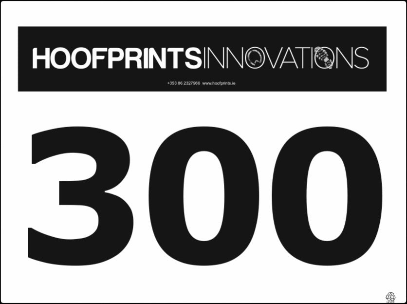 BIBS4LIFE Bib Numbers