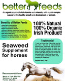 ORGANIC SEAWEED HORSE SUPPLEMENT - Hoofprints Innovations