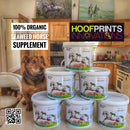 ORGANIC SEAWEED HORSE SUPPLEMENT - Hoofprints Innovations