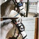 eQuick eVysor - Hoofprints Innovations