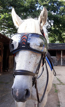 eQuick eVysor - Hoofprints Innovations