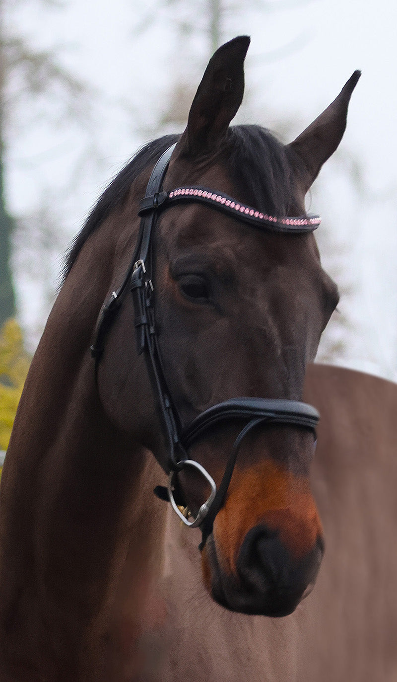 Mackey Sparkle Broadband