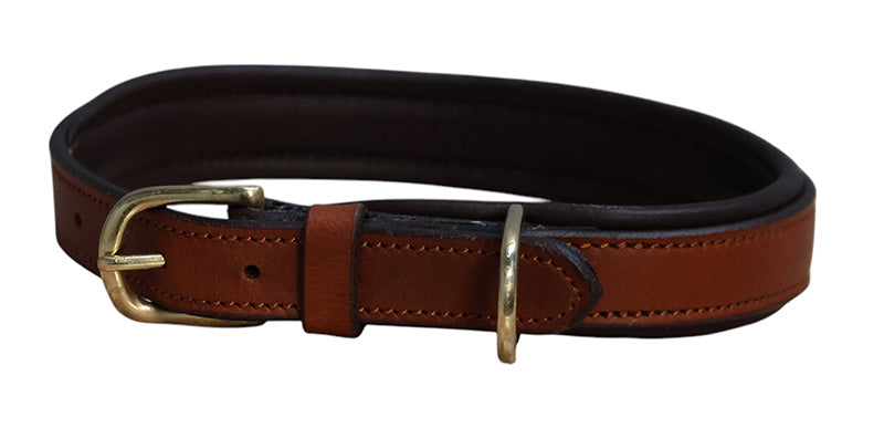 Mackey Padded Leather Dog Collar