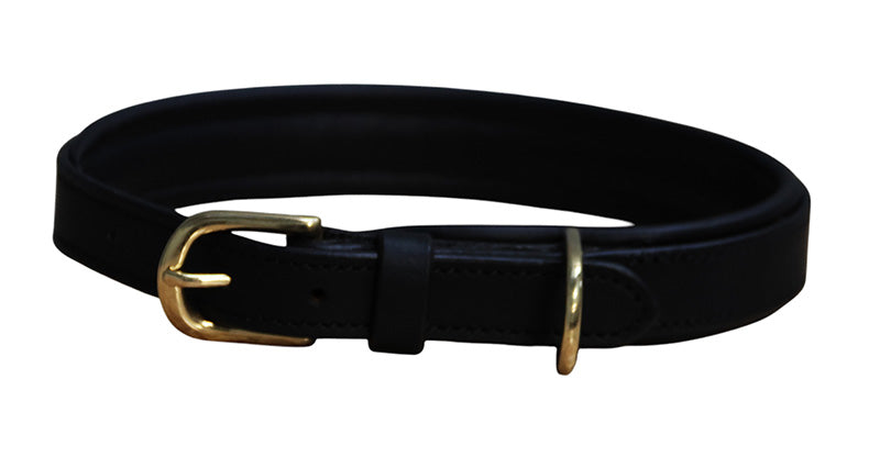 Mackey Padded Leather Dog Collar