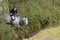 Hit-Air MLV3