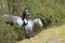 Hit-Air MLV3