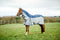 Equi-sential Waterproof Flysheet