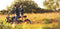 Synch Electric Bikes