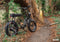 Synch Electric Bikes