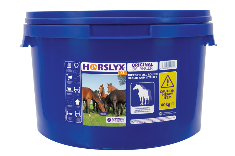 Horslyx Original Balancer
