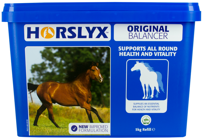 Horslyx Original Balancer