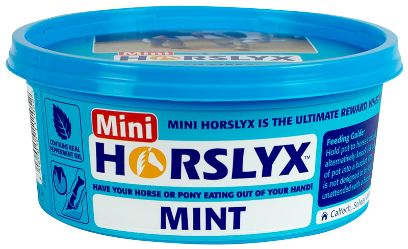 Horslyx Mint Balancer