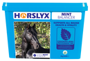 Horslyx Mint Balancer