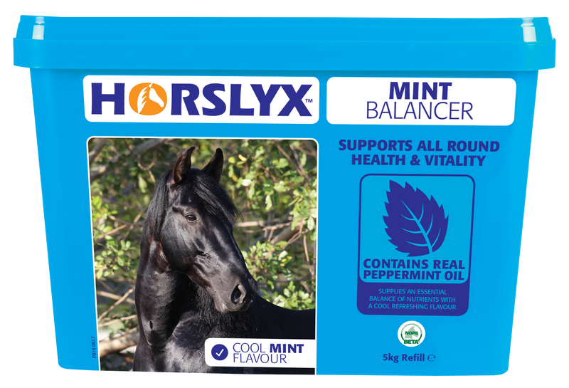 Horslyx Mint Balancer