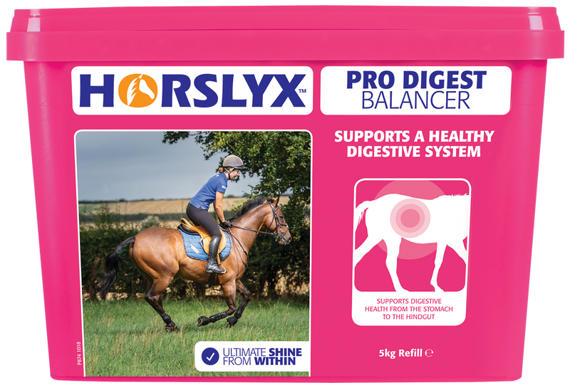 Horslyx Pro Digest Balancer