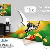 Hoofprints Photo Archives from 2007 - Hoofprints Innovations 