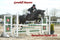Hoofprints Photo Archives from 2007 - Hoofprints Innovations 