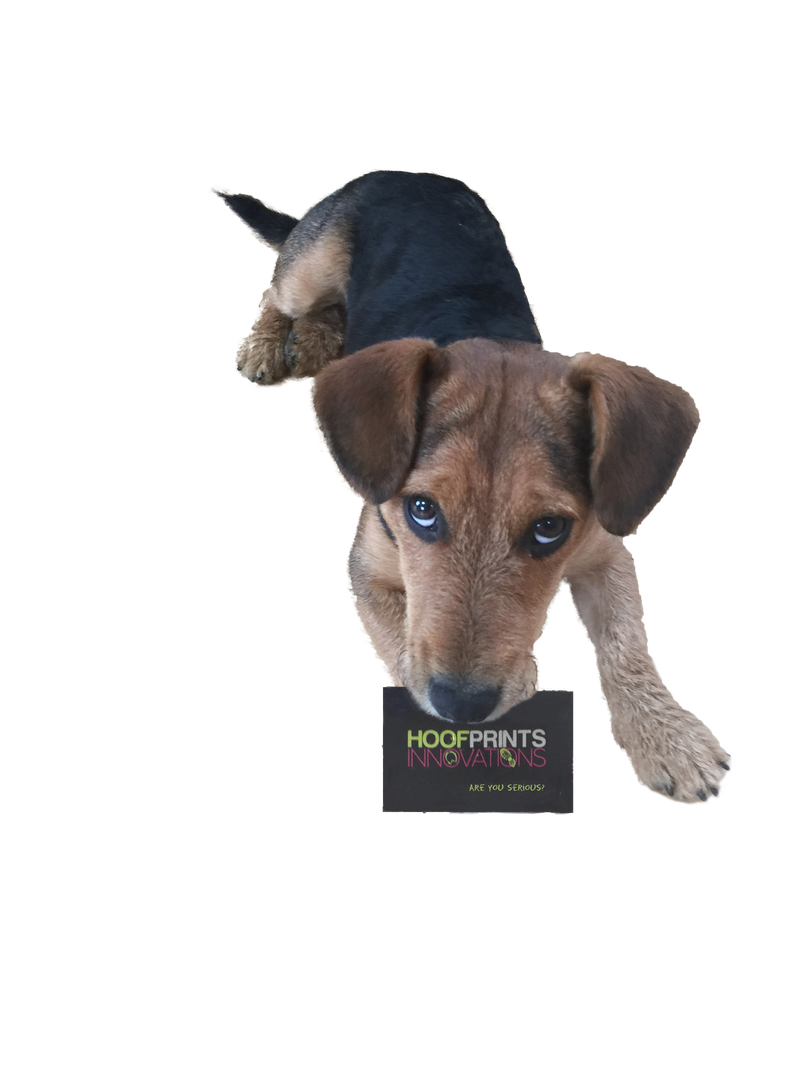 Gift Card - Hoofprints Innovations 