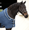 Horseware Rambo Dry Rug