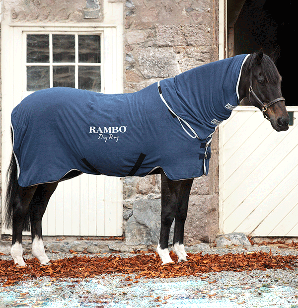 Horseware Rambo Dry Rug