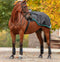 Horseware Amigo® Competition Sheet - Hoofprints Innovations 