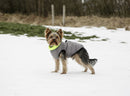 Charmonix Quilted Dog Jacket