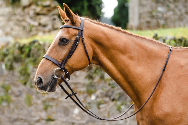 Mackey Classic Hunt Bridle