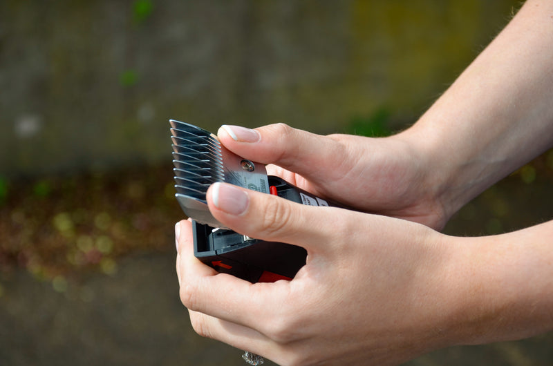 Liveryman Harmony Plus Clippers