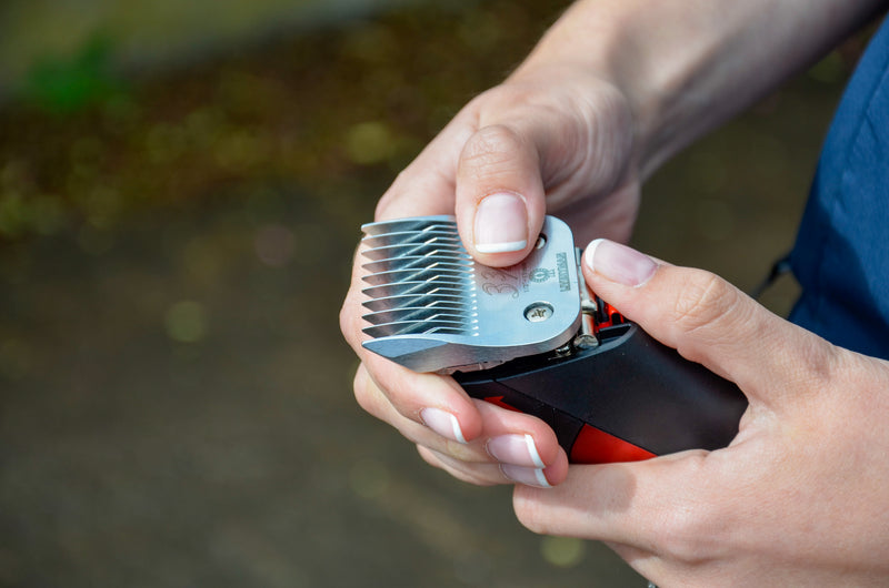 Liveryman Harmony Plus Clippers