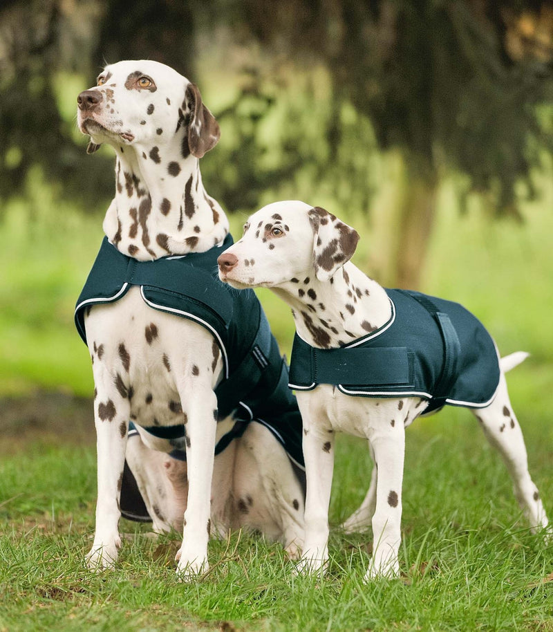 Dog Raincoat Fir Green