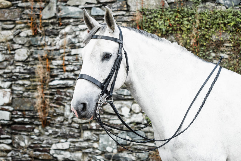 Mackey Classic Double Bridle