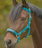 Economic Lunging Halter