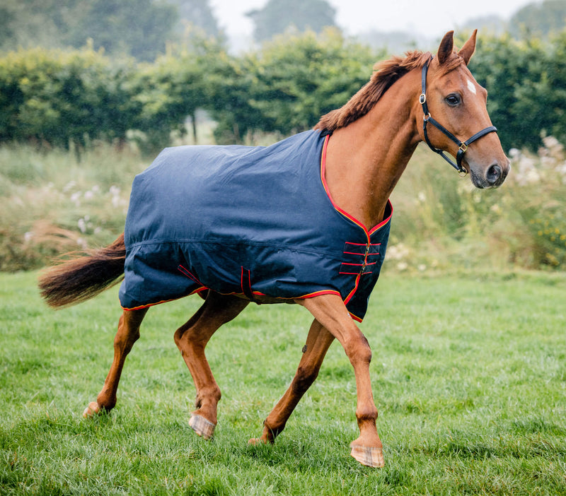 Equi-Sential Standard Medium Turnout Rug