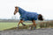 Keadeen Plus 100g Light Turnout Rug