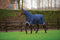 Keadeen Plus 300g Heavy Turnout Rug