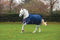 Keadeen Standard 250g Turnout Rug