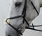 Mackey Legends Grackle Bridle