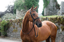 Mackey Legend Flash Bridle