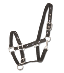 Little Horse Halter