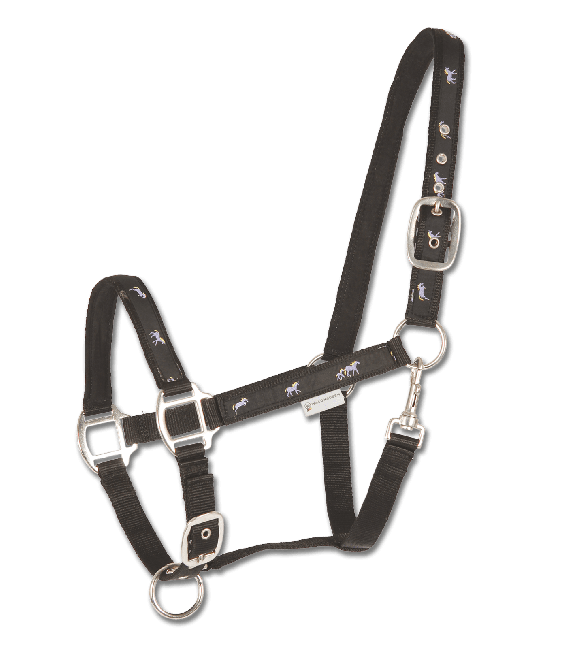 Little Horse Halter