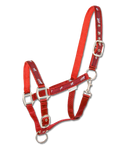 Little Horse Halter