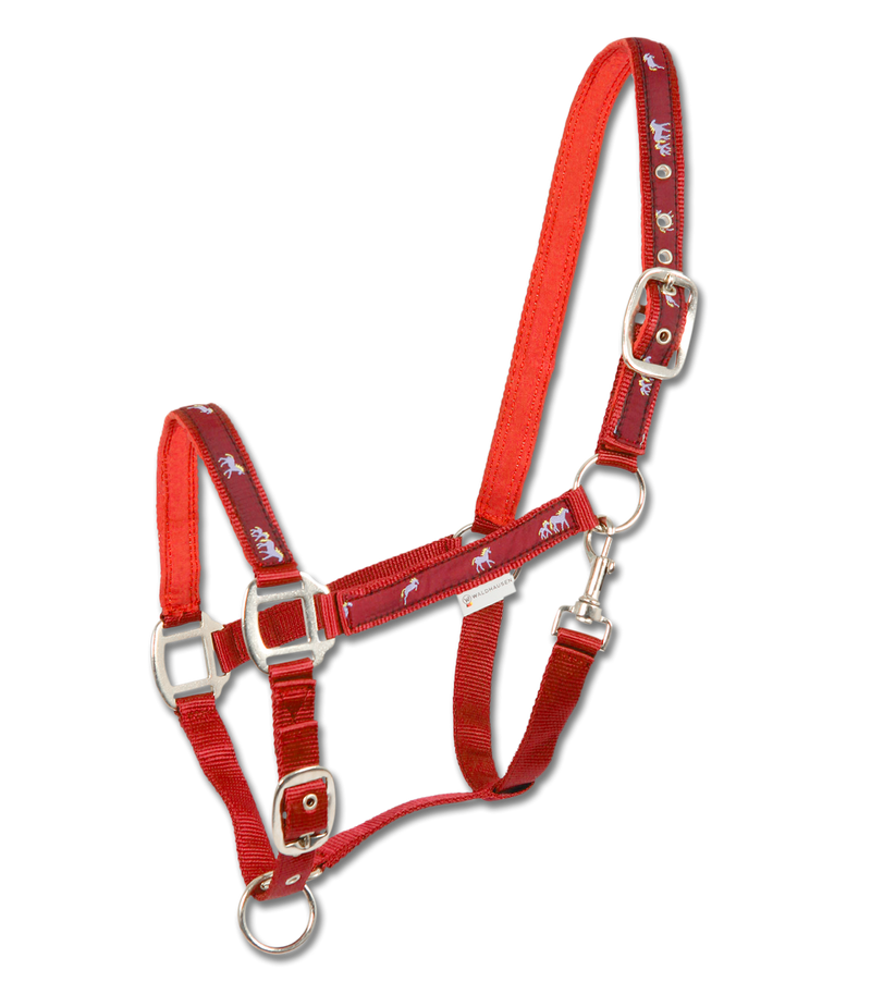 Little Horse Halter