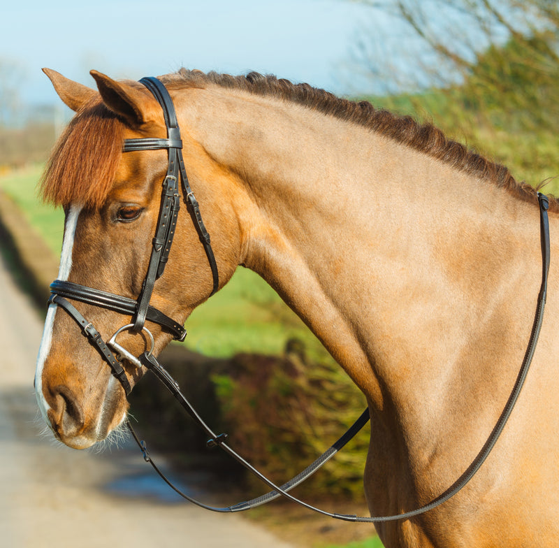 Mackey Classic Padded Flash Bridle