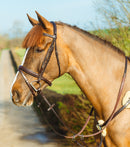 Mackey Classic Padded Flash Bridle