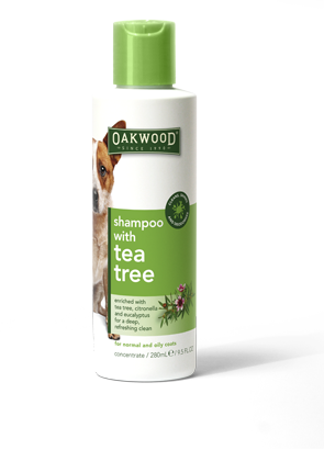 Shampoo with Tea Tree Oil