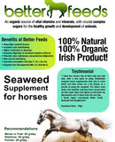 ORGANIC SEAWEED HORSE SUPPLEMENT - Hoofprints Innovations 