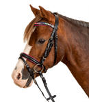 Star Bridle Pinky