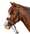 Star Bridle Pinky