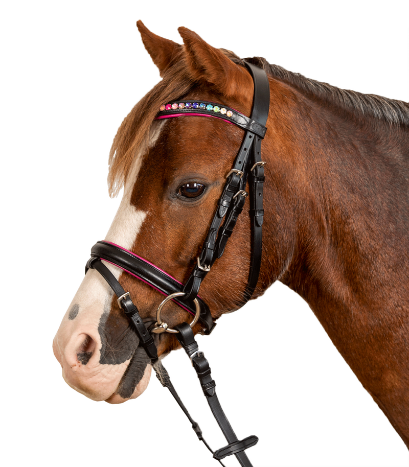 Star Bridle Pinky