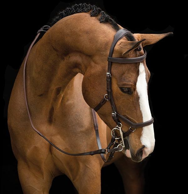 Horseware Rambo® Micklem® Original Competition Bridle - Hoofprints Innovations 